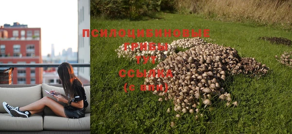 бутират Балахна